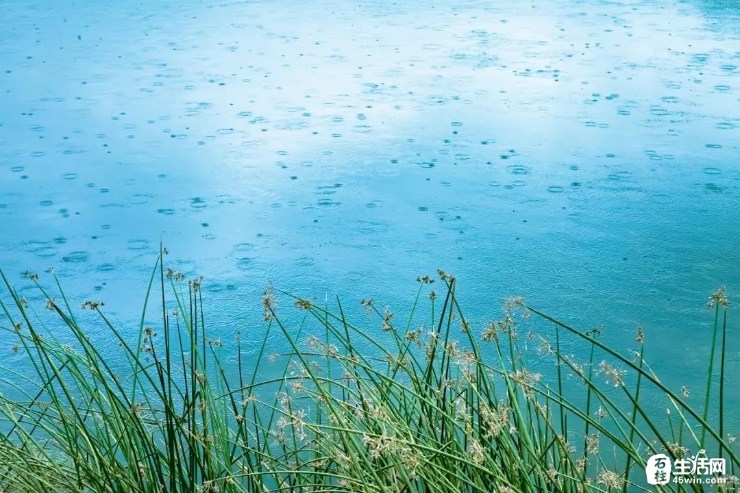 今日雨水 | 春雨至矣,万物萌动 , 春天就要来了!