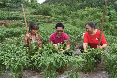 石柱:马青松驻村扶贫书写有"温度"的扶贫答卷