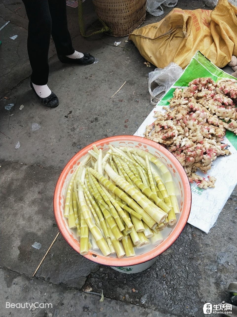 转了几天菜场都没买到刺竹笋,商家都是说自己的是刺竹笋